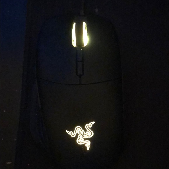 Mouse - Picture 6 of 8